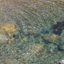 지나민박 이미지