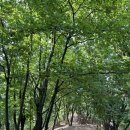 서초대로42길 92 이미지