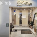 스테이보정
