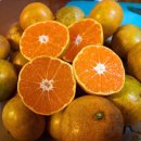 사랑농장 이미지