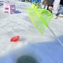 산천어길 | 화천산천어축제 강원도 겨울여행 산천어구이 방문수 회센터 웨이팅 줄 산천어 잘잡히나 연휴 구이 가격