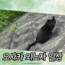 죠이마트 - 용산구 | 오사카 일상 백화점 쇼핑 쟈가초코 치파오 마라탕 닭가슴살토마토스튜 선의의 순환 킹스초이스 츠루하시...