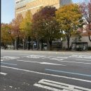 수연목장 | 11월 일상 끓여왔으여