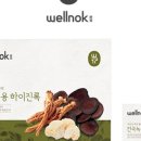 웰녹
