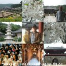 정상파크장 이미지