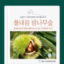 법인풀내음밤나무숲
