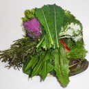 대실농장 이미지