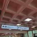 체크 인 제주 네이버블로그