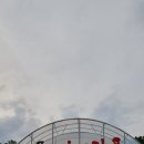 지올리브 이미지