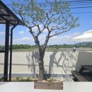 엘림하우스 이미지