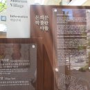 삼원일식 이미지