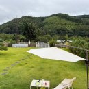 헬로우댕댕 이미지