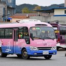 영덕운수 이미지