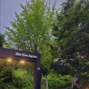 무인텔 휴 이미지