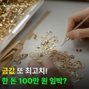 2025년 9월 12일 신문을 통해 알게 된 것들 이미지