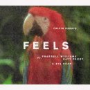 Calvin Harris - Feels 이미지