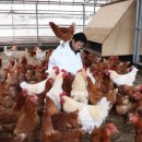 대류농장 이미지