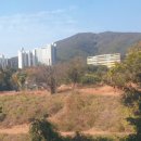 삼덕개발 이미지