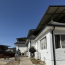 호동이네 이미지