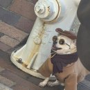 반도방앗간 | [일본여행_도쿄 1] 관광지 빼고 다 갔다는 소문을 들었어