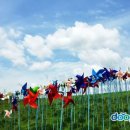 평화교통(주) 이미지