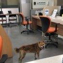 동천동 행정복지센터 이미지