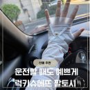 럭키장식 | 럭키슈에뜨 팔토시 후기｜운전할 때 쓰기 좋은 예쁜 팔토시 추천