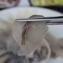 죽도대구매운탕 네이버블로그