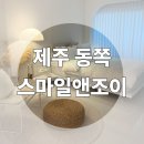 조이펜션 | 제주 동쪽 함덕 근처 펜션 추천 스마일앤조이 스마일2 후기