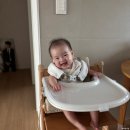 시랑체육관 | 땡큐 6개월 기록 / 매일매일 변화무쌍 6개월 아기발달, 육아템 등등