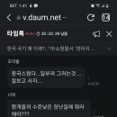 테무쇼핑몰 태극기 작태 그래도 판다 곰이좋다는 한국 바보들 이미지