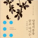 양철지붕