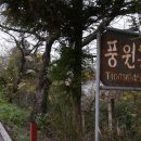 영산농산 Daum카페