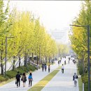 부산대학교 국제전문대학원 | 서울대, 연세대, 고려대, 이화여대 2025학년도 후기 일반대학원 입학준비 - 변동사항 및 주요사항 체크하기