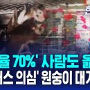 &#39;치사율 70%&#39; 사람도 옮는다…바이러스 의심 원숭이 대거 반입 이미지