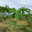 한산1리마을회관 이미지