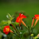 광명사 세탁소 이미지