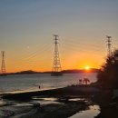 포레스트오션 이미지