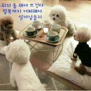 있어