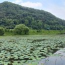 삼지수변공원 이미지