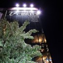 치브레오 이미지