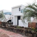 사계 해담은 이미지