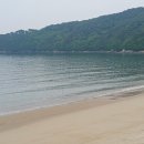 벌안해변 Daum카페