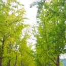 문광상회 이미지