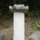 24호선 국도변 이미지