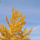 잭슨영어 내포센터 | [11월 시청기록] 드라마/영화/뮤지컬/노래추천