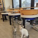 운중로113번길 이미지