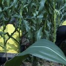 수동경로당 이미지