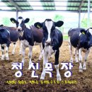 청신목장