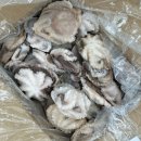 왕쭈꾸미 이미지